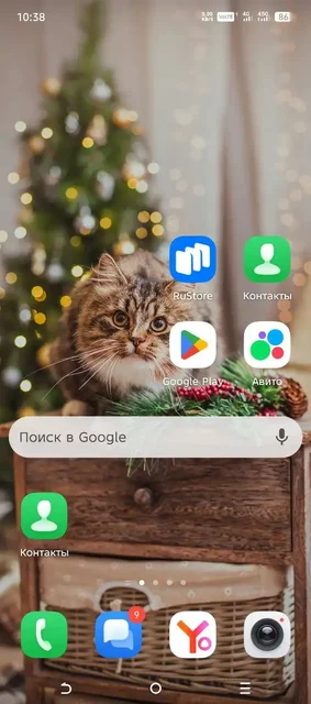 Продам вещи - Растения и сад в Красноярск