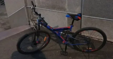 Продам горный велосипед с дисковыми тормозами - Растения и рассада в Красноярск