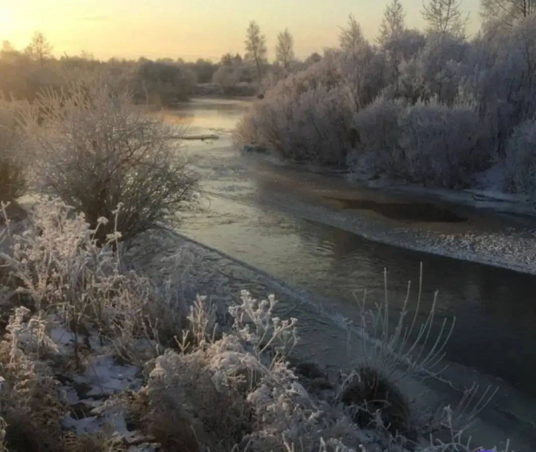 Продажа участков ДНТ у реки Есауловка - Земельные участки (Недвижимость) в Красноярск