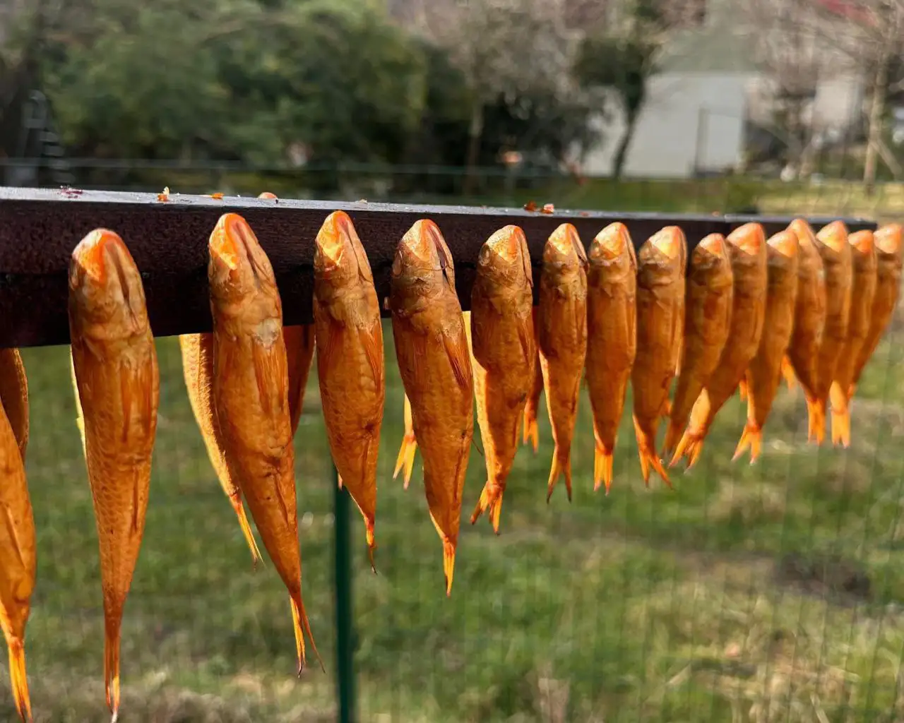 Рыба горячего копчения на ольхе и вяленная - Продукты питания (Барахолка) в Красноярск