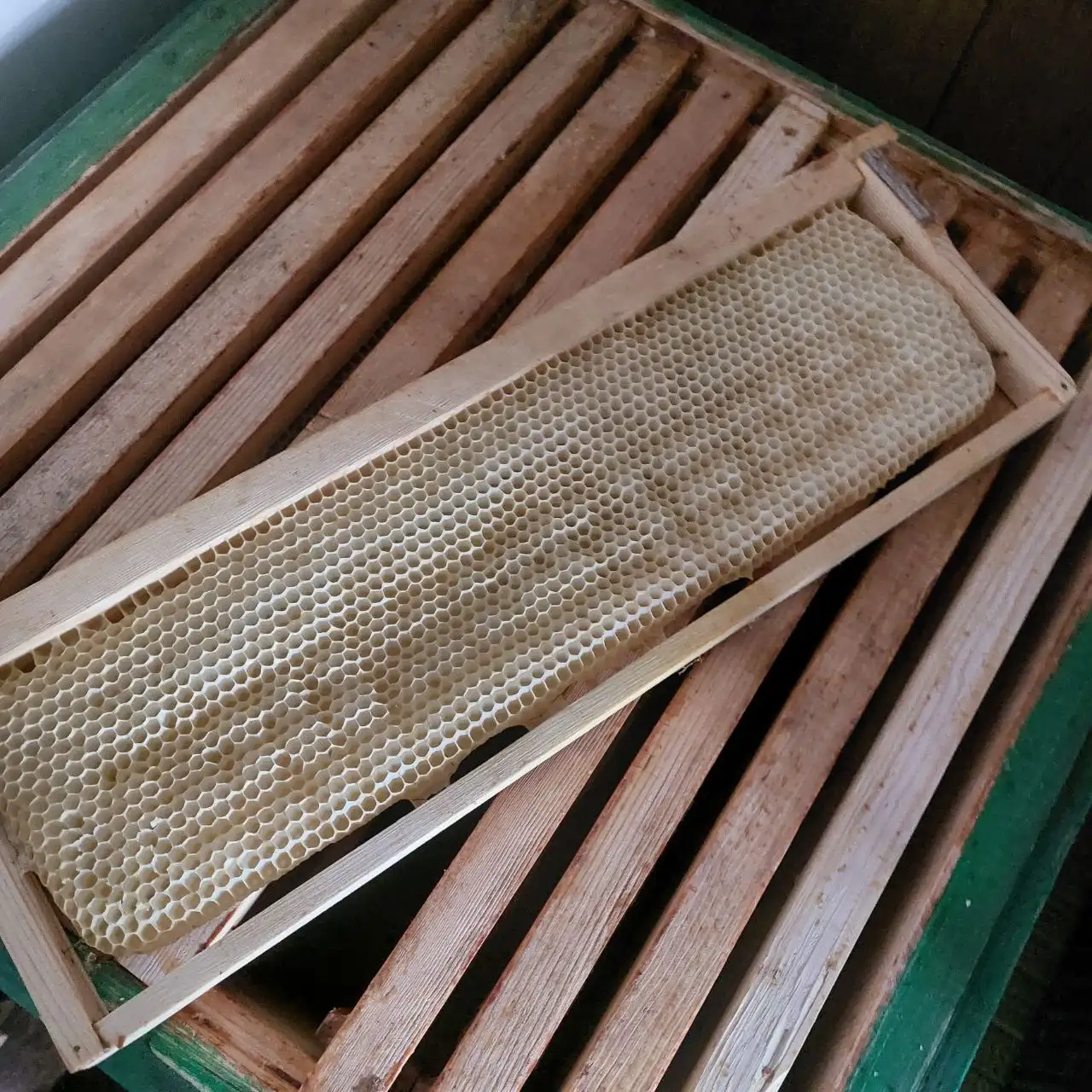 Продажа инвентаря для пчеловодства - Пчеловодство (Хобби и отдых) в Красноярск