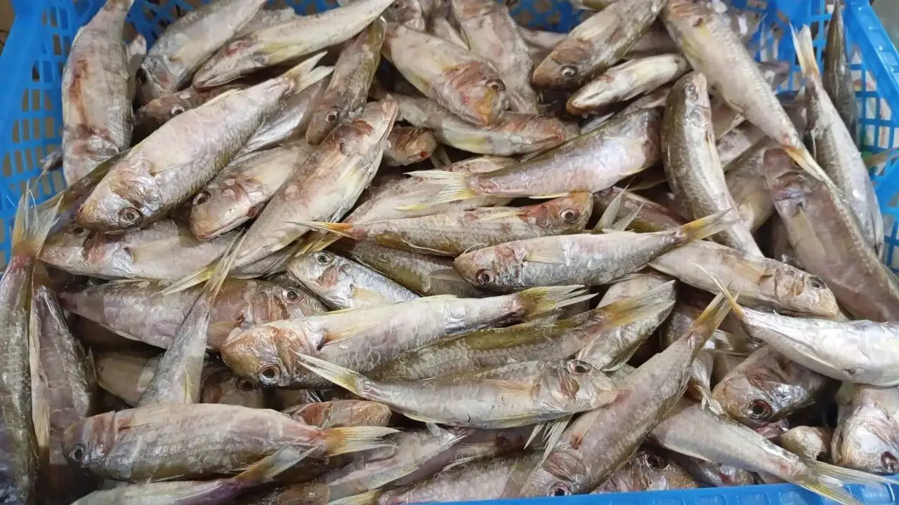 Рыба горячего копчения и вяленная собственного производства - Продукты питания (Барахолка) в Красноярск