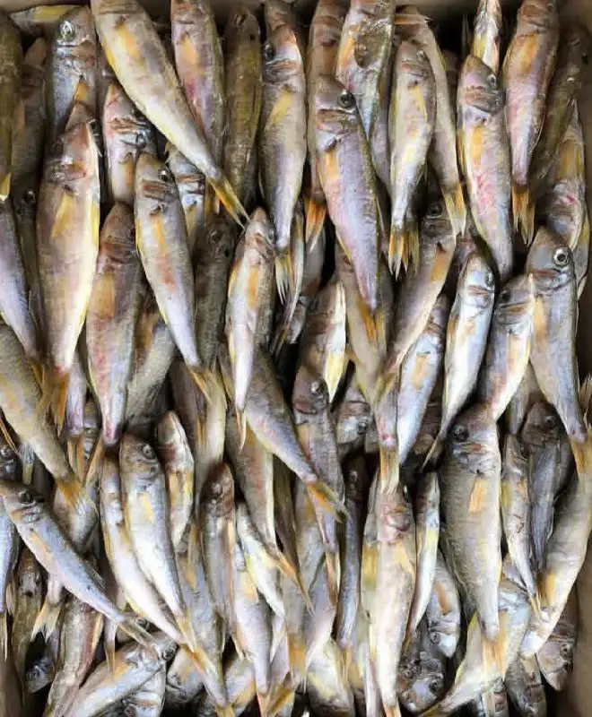 Рыба горячего копчения и вяленная собственного производства - Продукты питания (Барахолка) в Красноярск