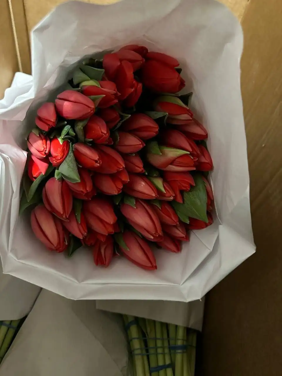 Предзаказ тюльпанов на 8 Марта от Краснодарского края - Цветы (Хобби и отдых) в Красноярск