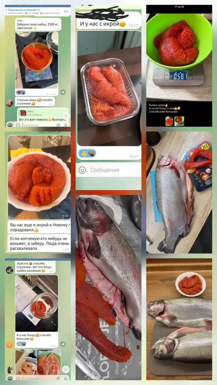 Продажа саяногорской форели - Продукты питания (Барахолка) в Красноярск