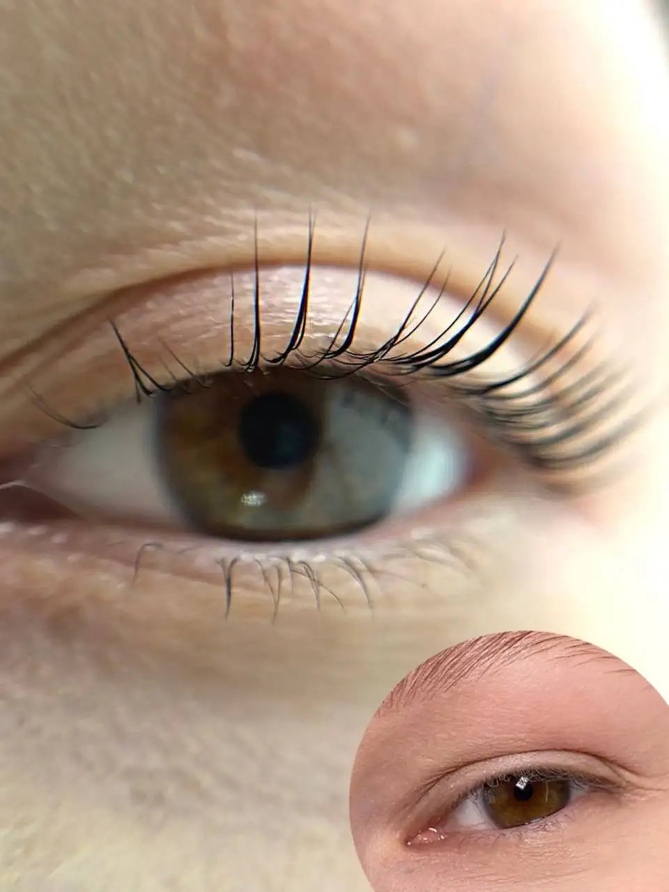 Поиск моделей на ламинирование ресниц с окрашиванием - Красота (Услуги) в Красноярск