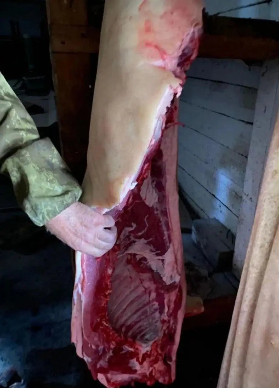 Свободные части мяса свинины - Барахолка в Красноярск