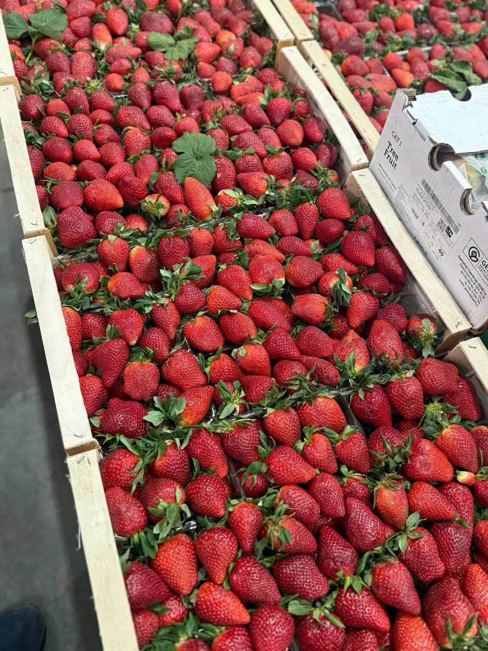 Продажа клубники и сезонных продуктов в Красноярске - Продукты питания (Барахолка) в Красноярск