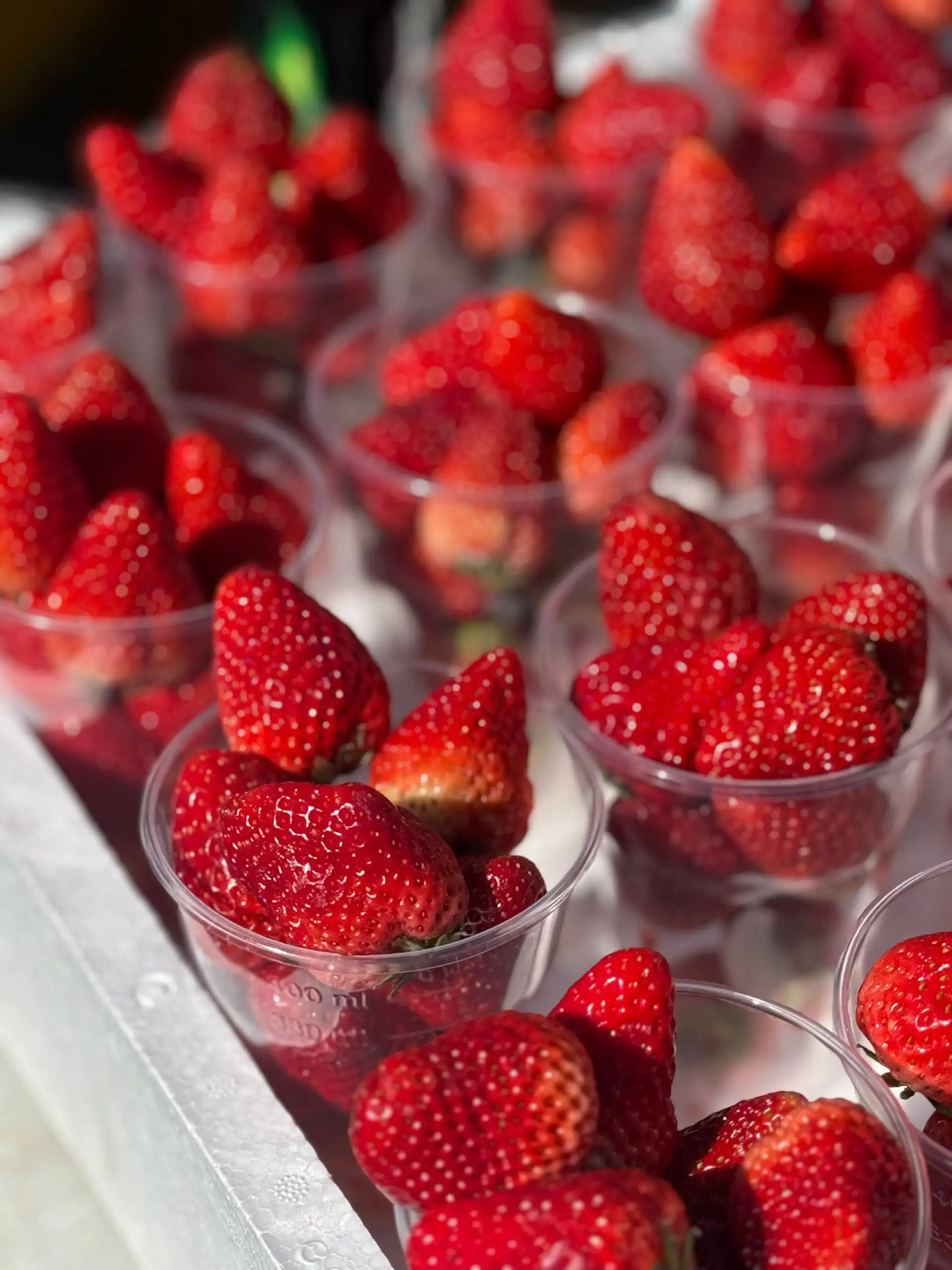 Свежее поступление черемши и клубники - Продукты питания (Барахолка) в Красноярск