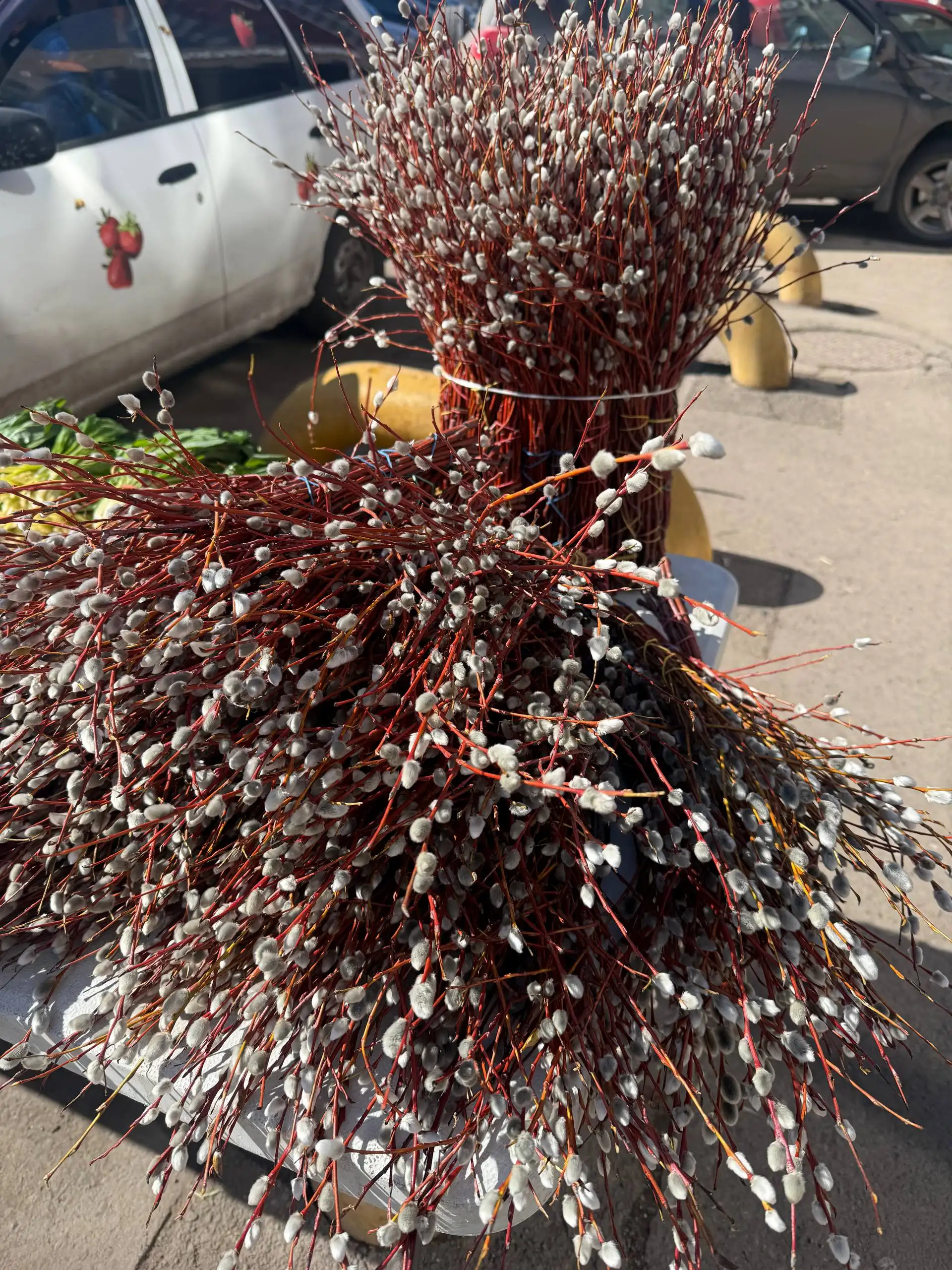 Свежее поступление черемши и клубники - Продукты питания (Барахолка) в Красноярск