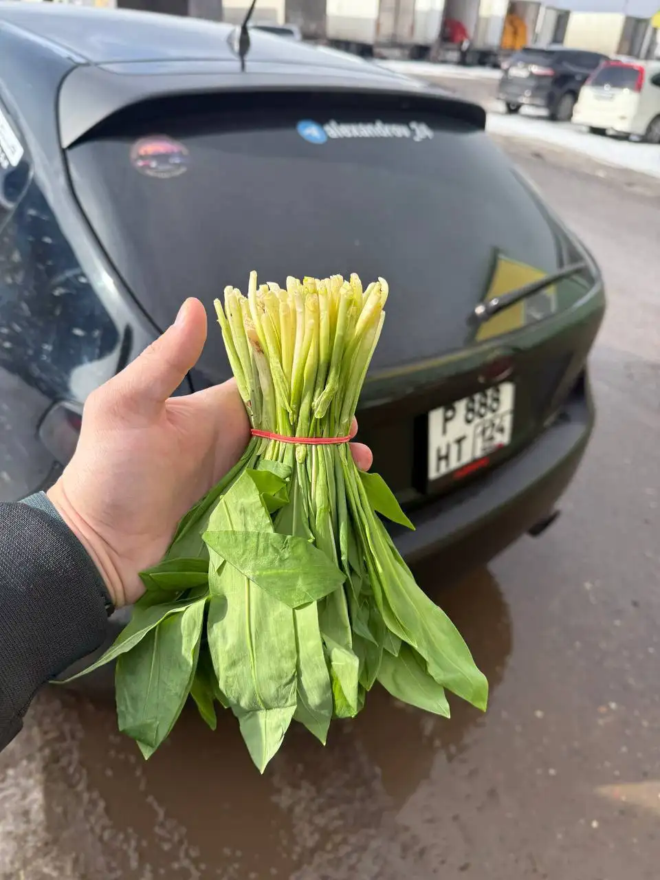 Свежее поступление черемши и клубники - Продукты питания (Барахолка) в Красноярск