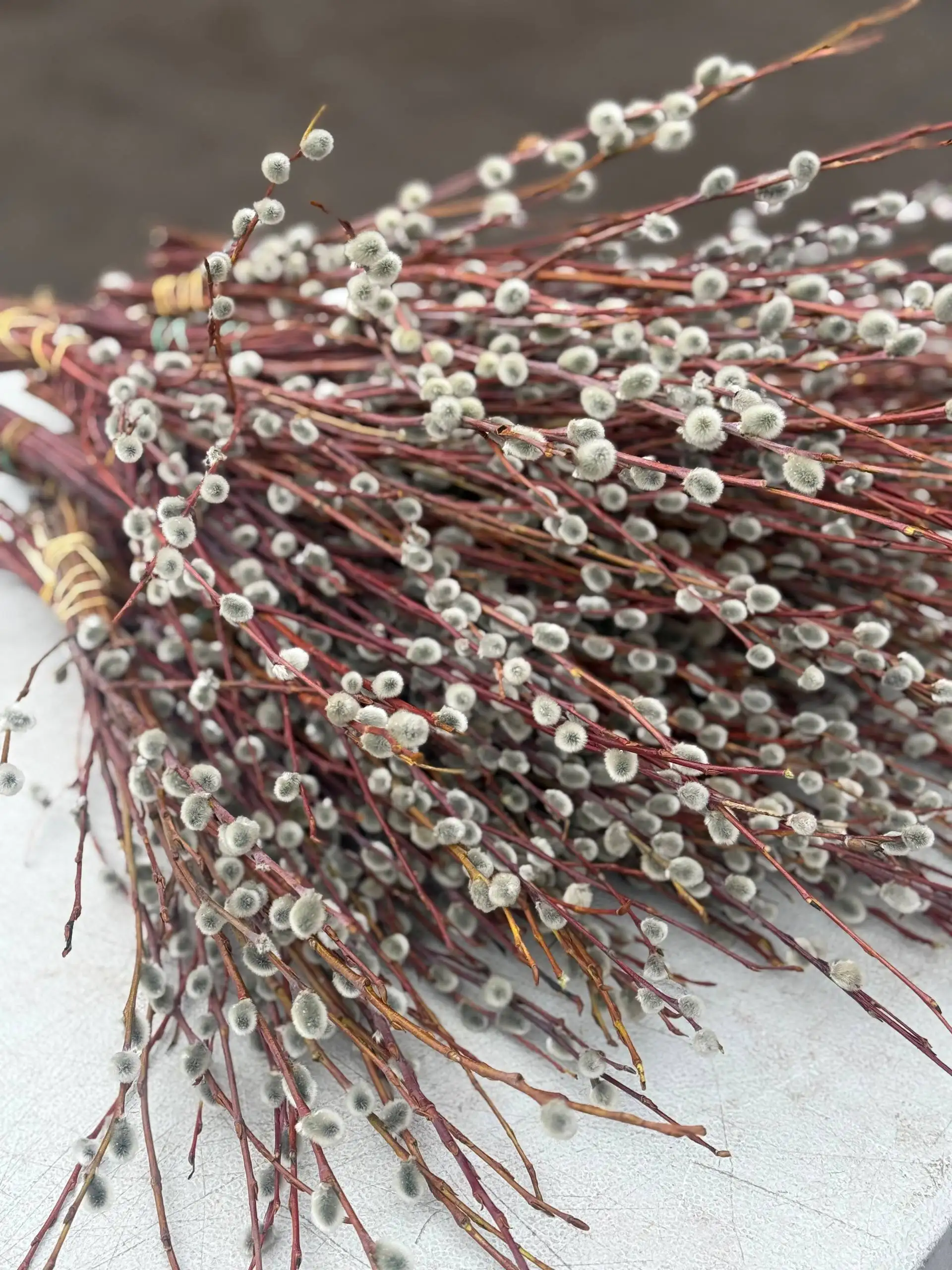 Продажа свежих ягод и зелени в Красноярске - Барахолка в Красноярск