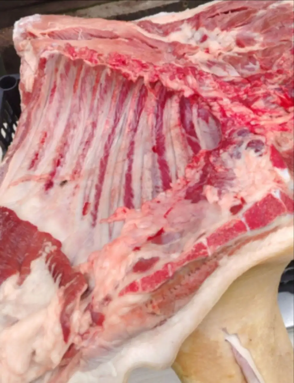 Продажа мяса говядины и свинины в Красноярске - Продукты питания (Барахолка) в Красноярск