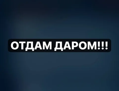 Отдам даром кухонную стенку, чайник, посудомойку, стиральную машину, два дивана и много фарфоровой посуды - Мебель и бытовая техника в Красноярск