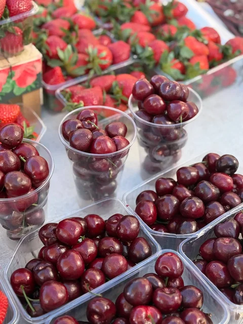 Продажа черешни, клубники, черемши и вербы - Барахолка в Красноярск