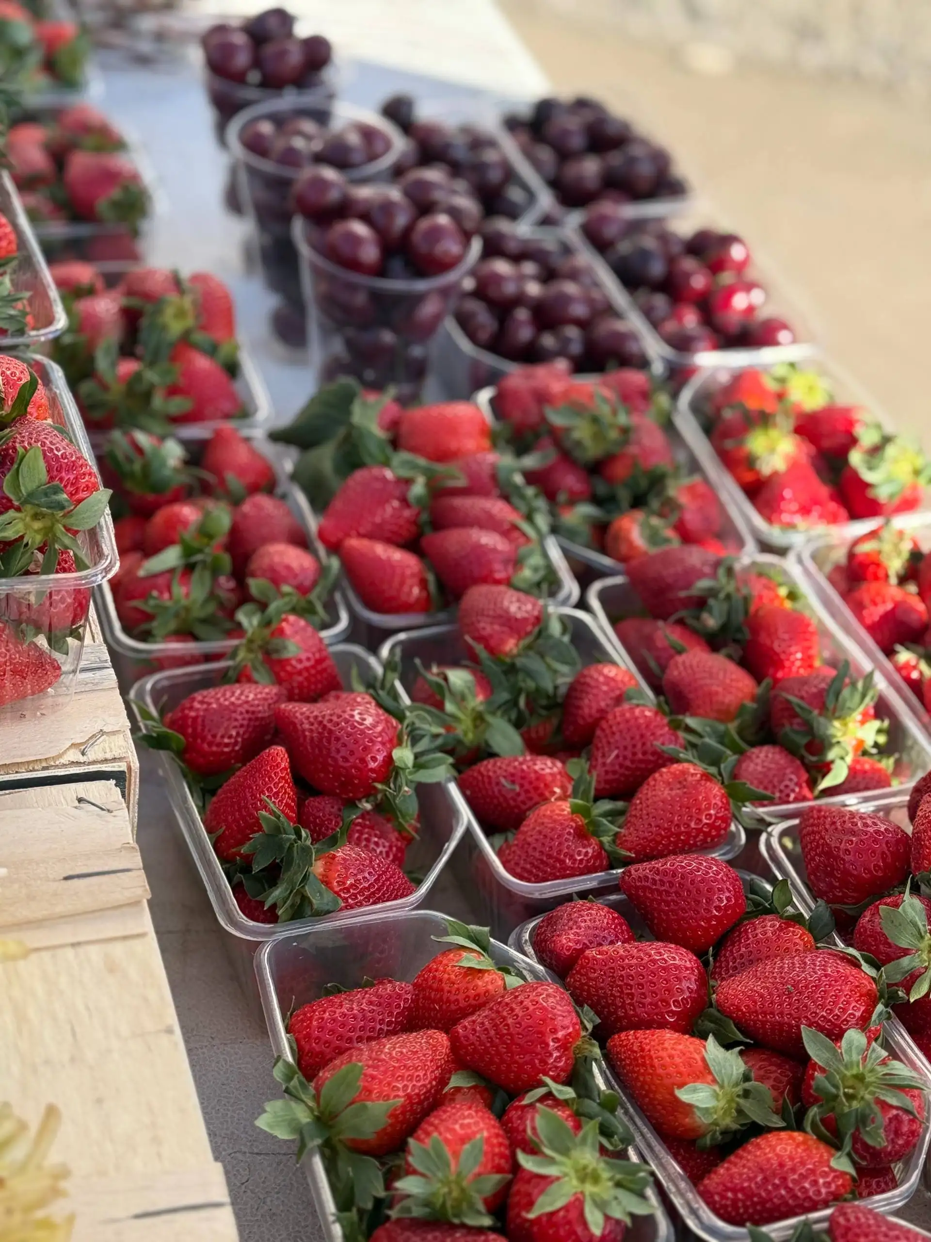 Продажа черешни, клубники, черемши и вербы - Барахолка в Красноярск