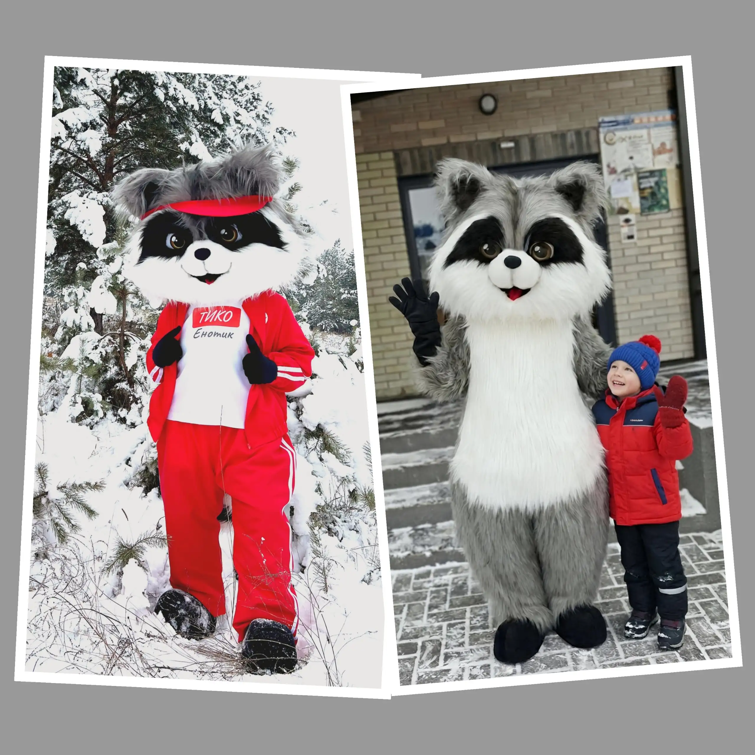 Продам ростовые куклы Енот и Панда - Костюмы и атрибутика (Хобби и отдых) в Красноярск