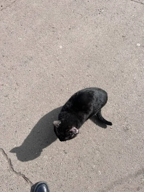 Предложение в Красноярске - Посуда в Красноярск