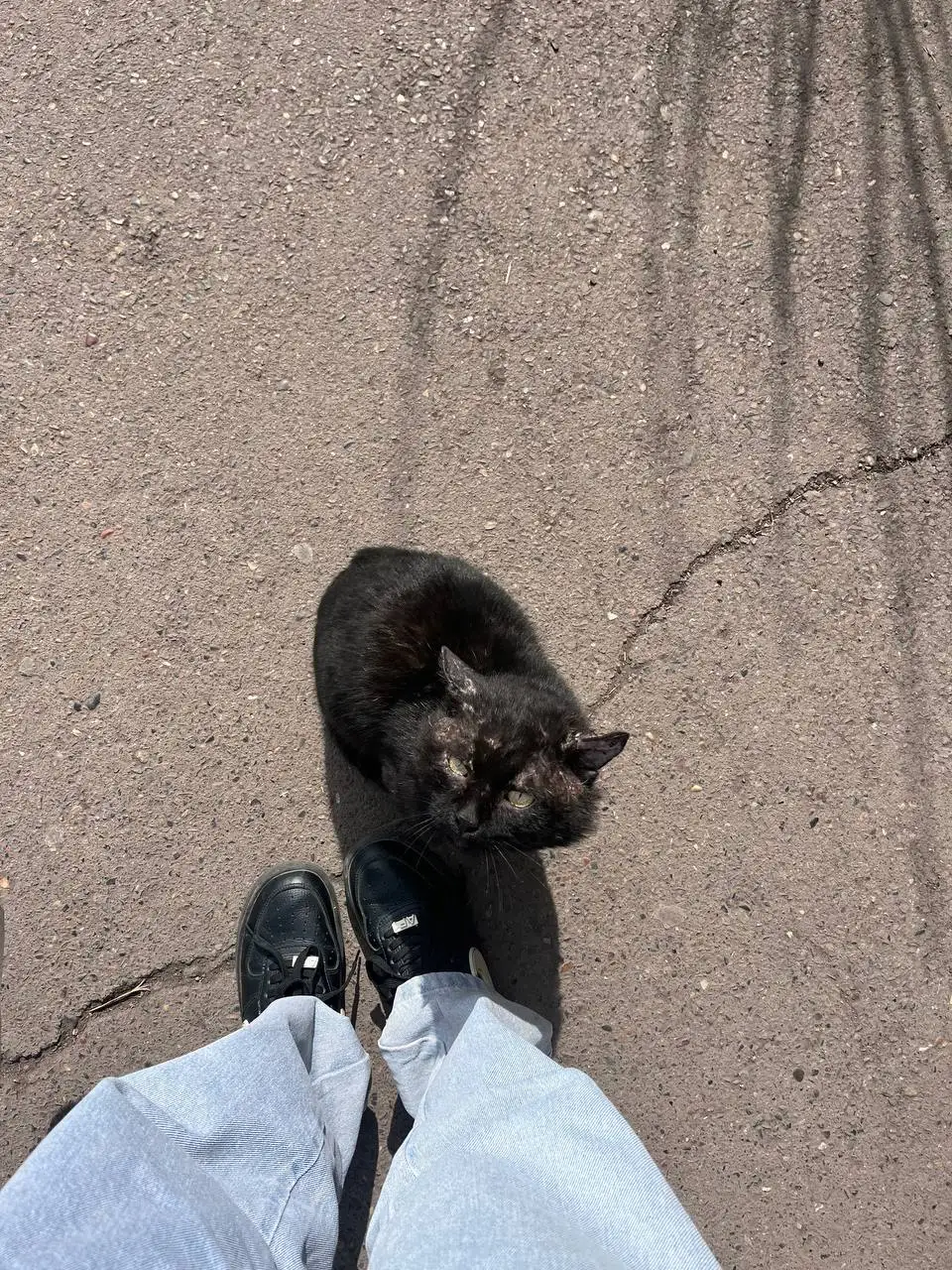 Предложение в Красноярске - Барахолка в Красноярск