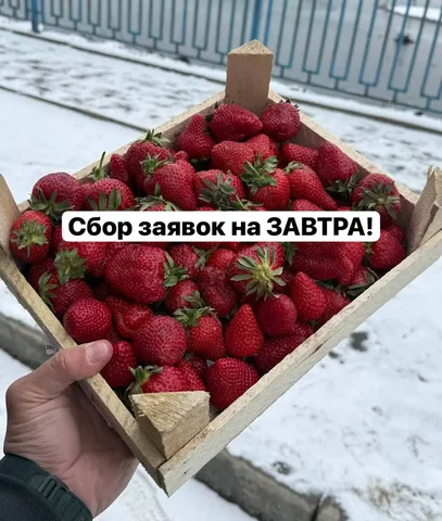 Ягода Клери из Киргизии - Цветы в Красноярск