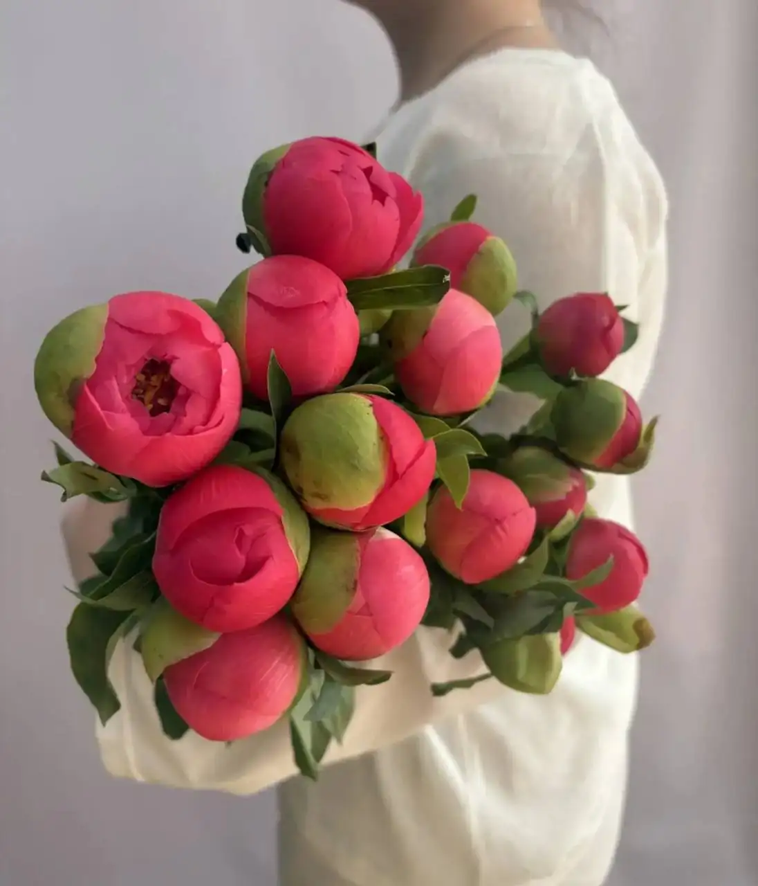 Пионы 390₽/шт в салоне цветов O.H.R.А - Цветы (Для дома и дачи) в Красноярск