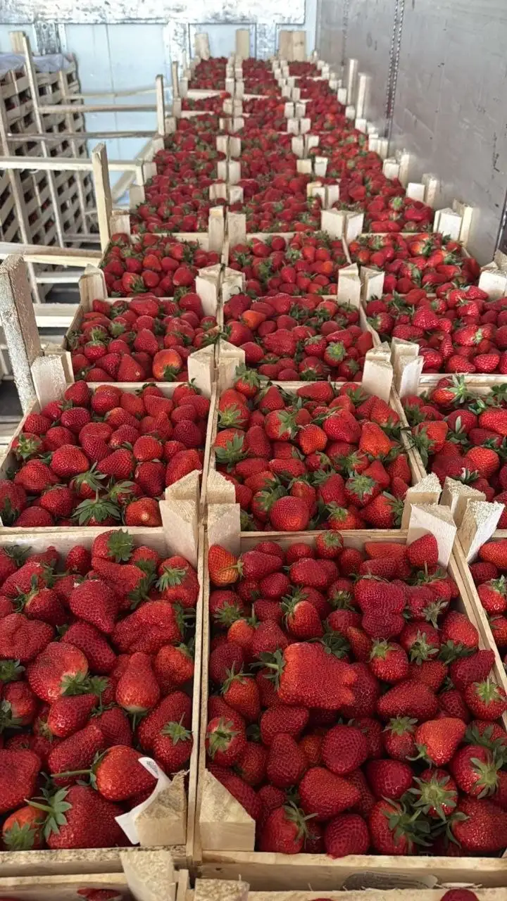 Ящик - Барахолка в Красноярск