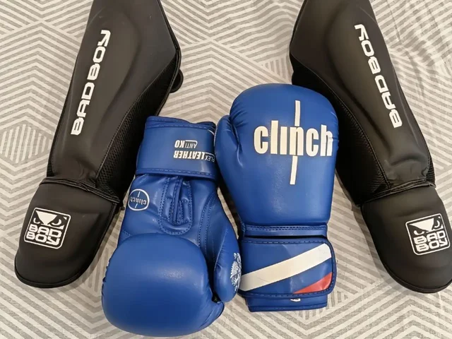 Боксёрские перчатки Clinch и Щитки Bad Boy - Садоводство в Красноярск