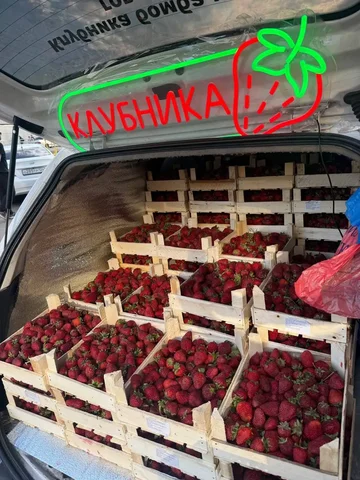 Продажа клубники Клери - Бытовая техника в Красноярск