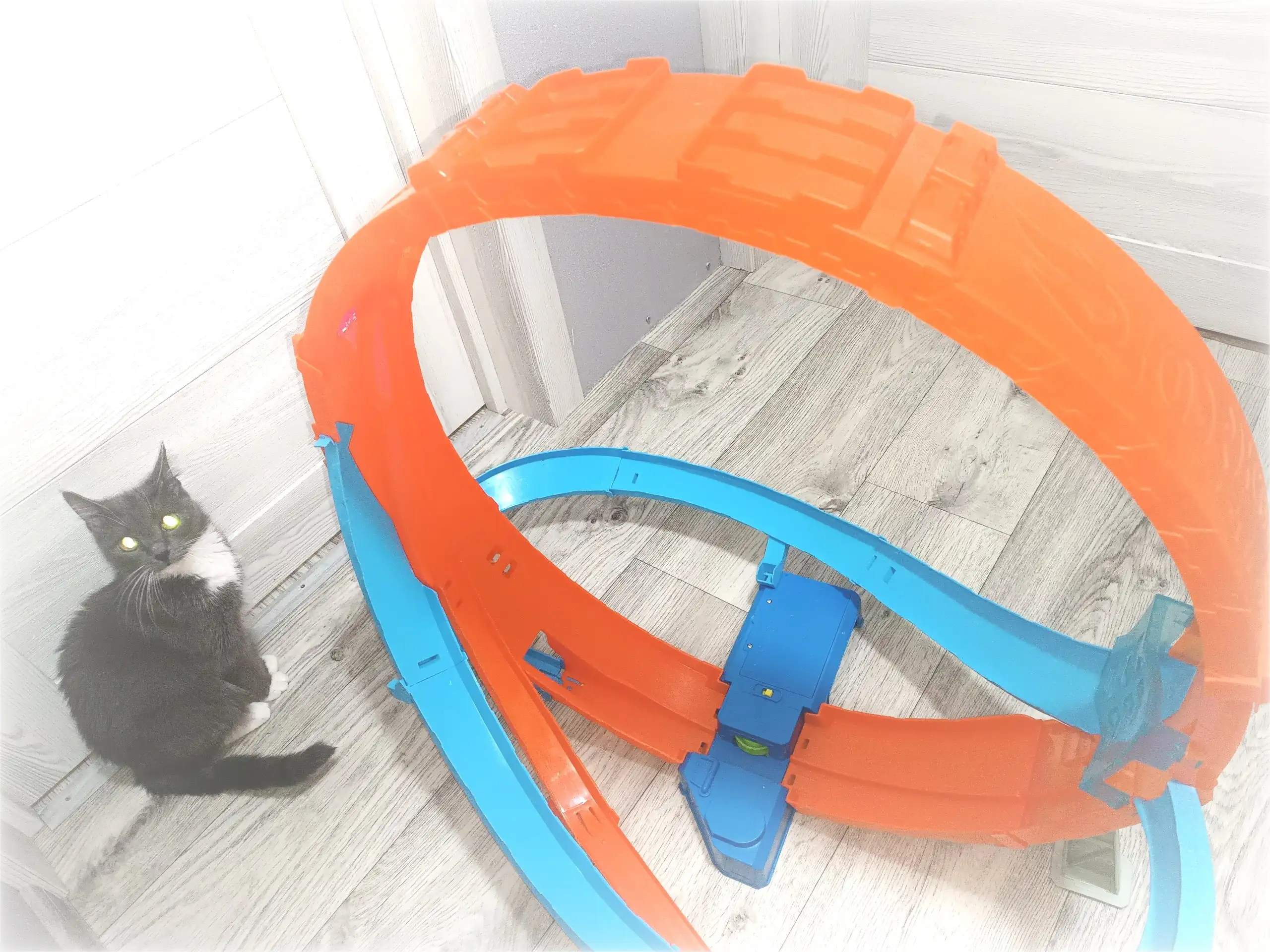Трек Hot Wheels Action Stocktaker Gigaptable - Игрушки (Хобби и отдых) в Красноярск