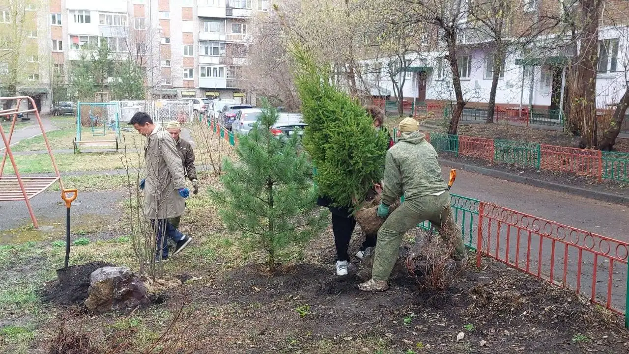 Заготовка и пересадка крупномерных деревьев - Ландшафтный дизайн и озеленение (Услуги) в Красноярск