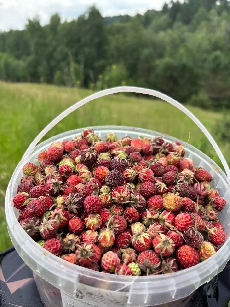 Продам жидкость - Барахолка в Красноярск