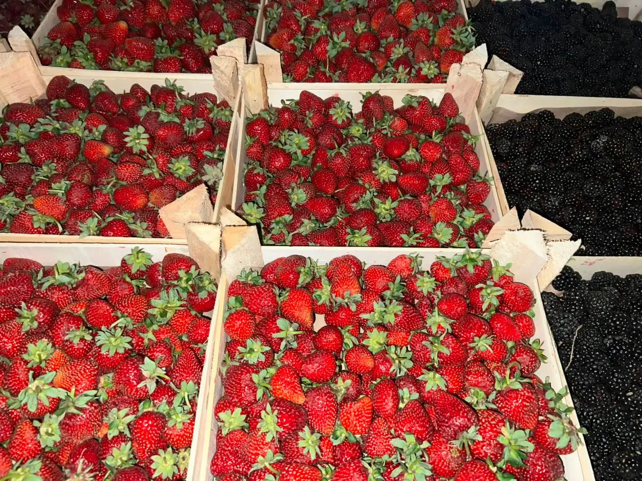 Свежая ягода на Вильского - Ягоды и фрукты (Продукты питания) в Красноярск