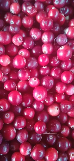 Продажа свежей и замороженной ягоды, орехов и варенья - Хобби и отдых в Красноярск