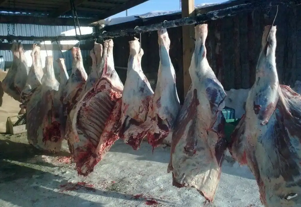 Продажа свежего мяса свинины, телятины и баранины в Красноярске