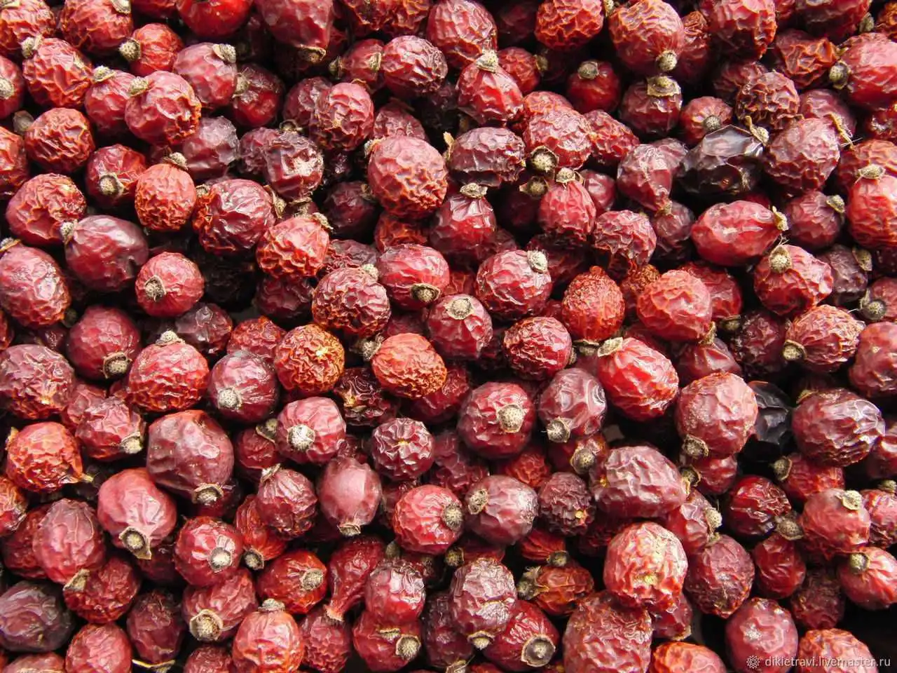 Свежие дикоросы Сибири: черника и брусника от староверов