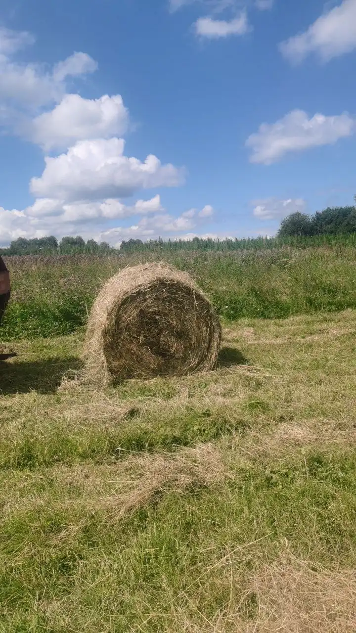 Продам сено - Для дома и дачи в Козулька
