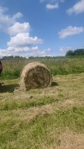 Продам сено - частное объявление в Козулька