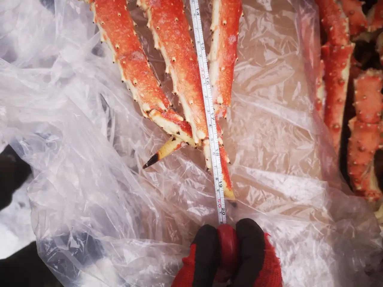 Продажа фаланг краба и кеты дальневосточной