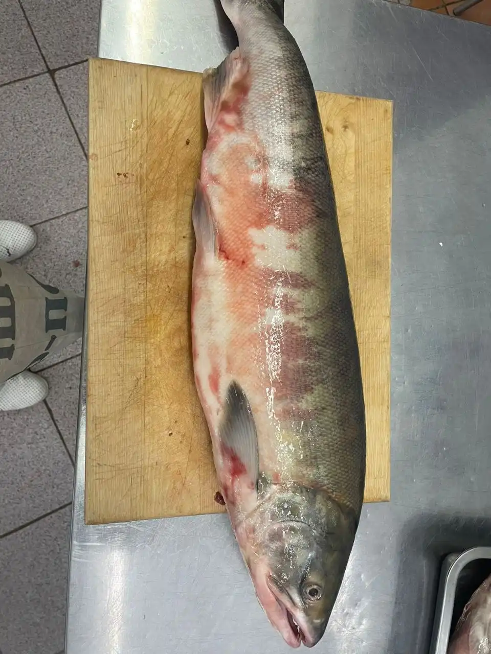 Продажа фаланг краба и кеты дальневосточной