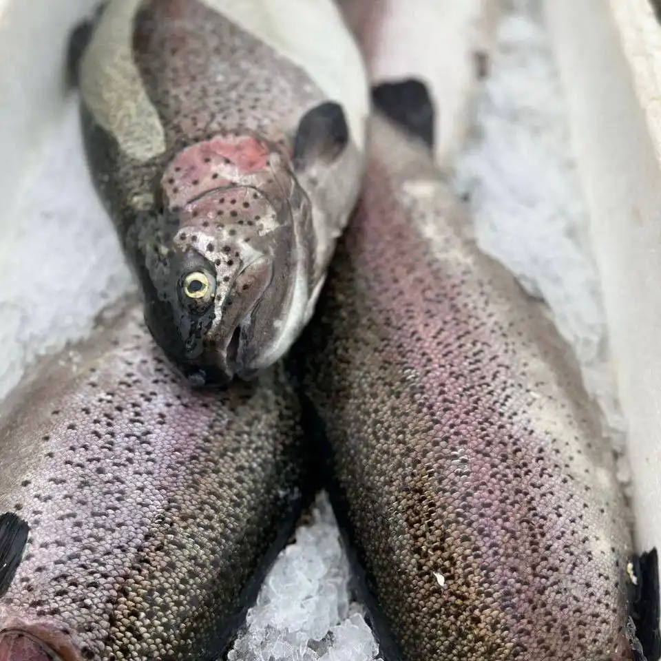 Доставка свежемороженой форели и грудинки в Октябрьском районе