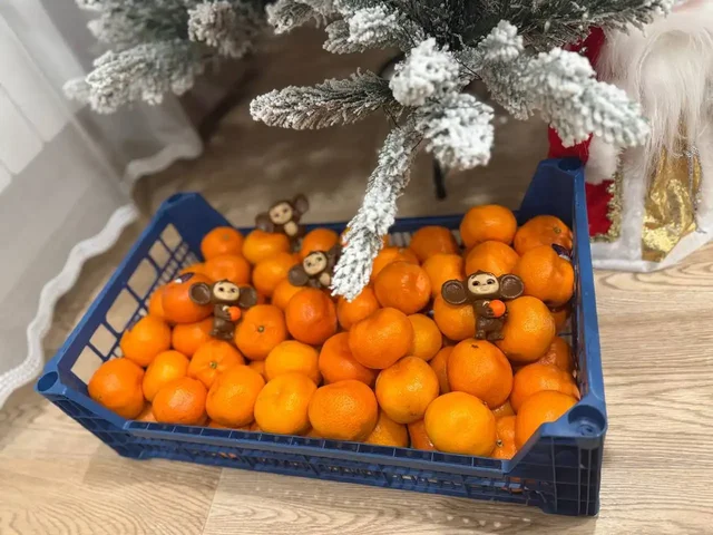 Мандарины ЮАР с бесплатной доставкой по Красноярску - Разное в Красноярск