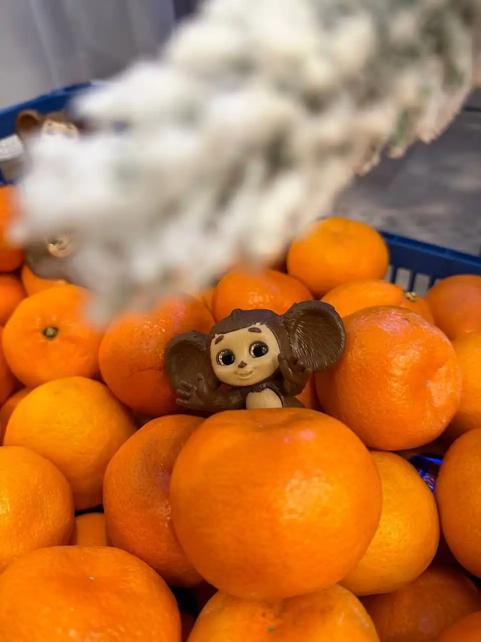 Мандарины ЮАР с бесплатной доставкой по Красноярску