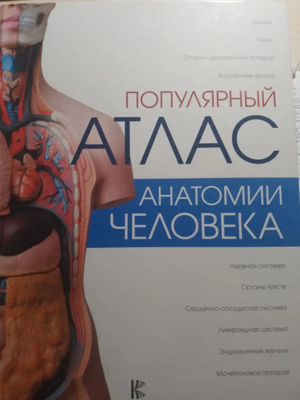 Продам писать в лс