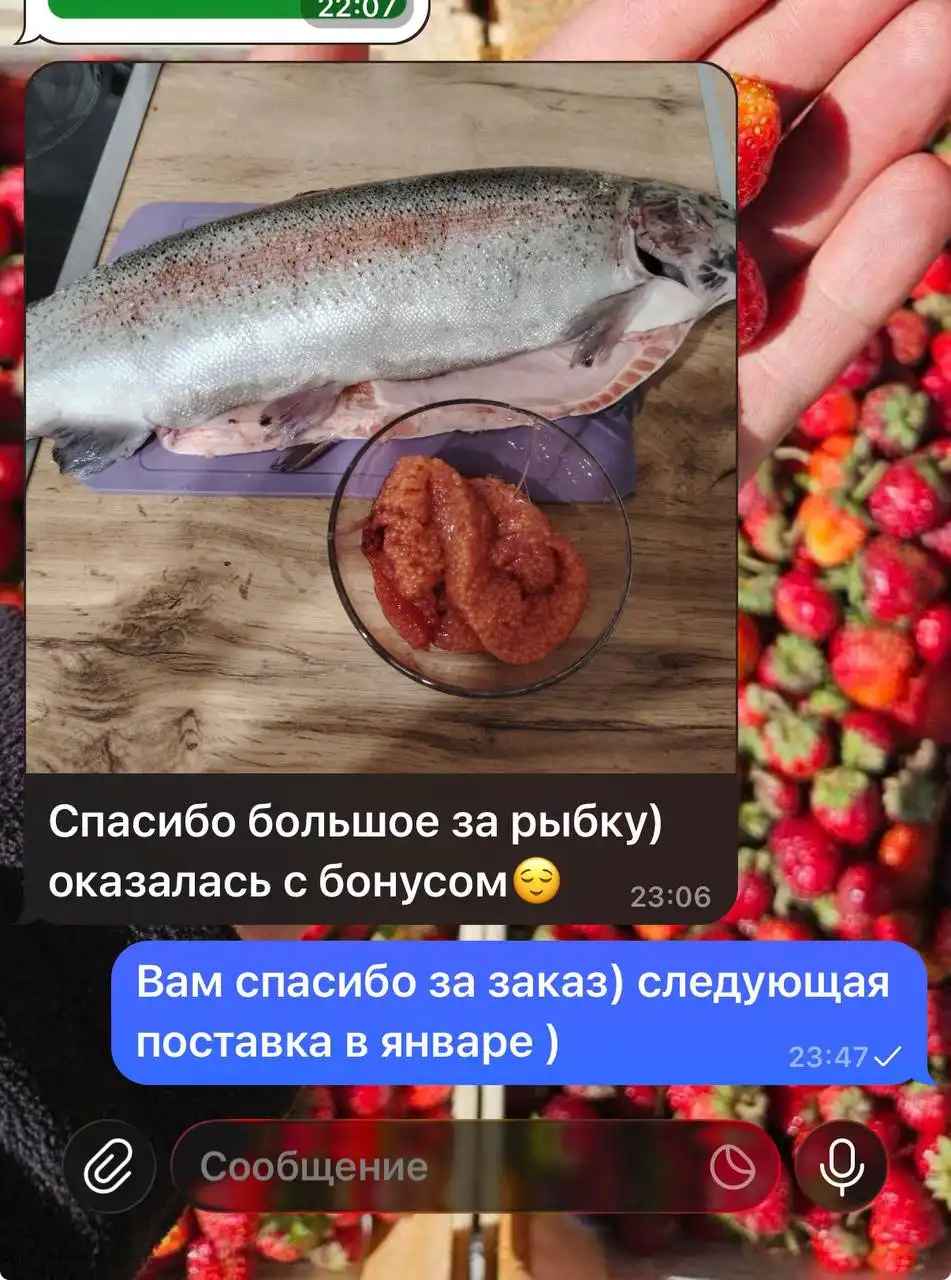 Саяногорская форель с бесплатной доставкой - Продукты питания (Барахолка) в Красноярск