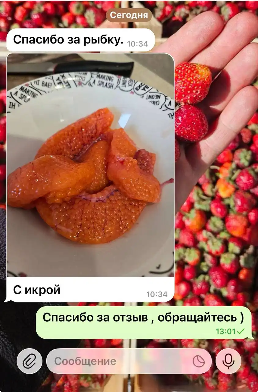 Форель Саяны с бесплатной доставкой - Продукты питания (Барахолка) в Красноярск