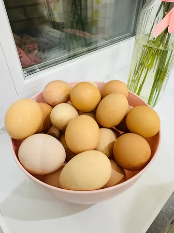 Продажа домашних куриных яиц в Чебоксарах - Техника для кухни в Чебоксары