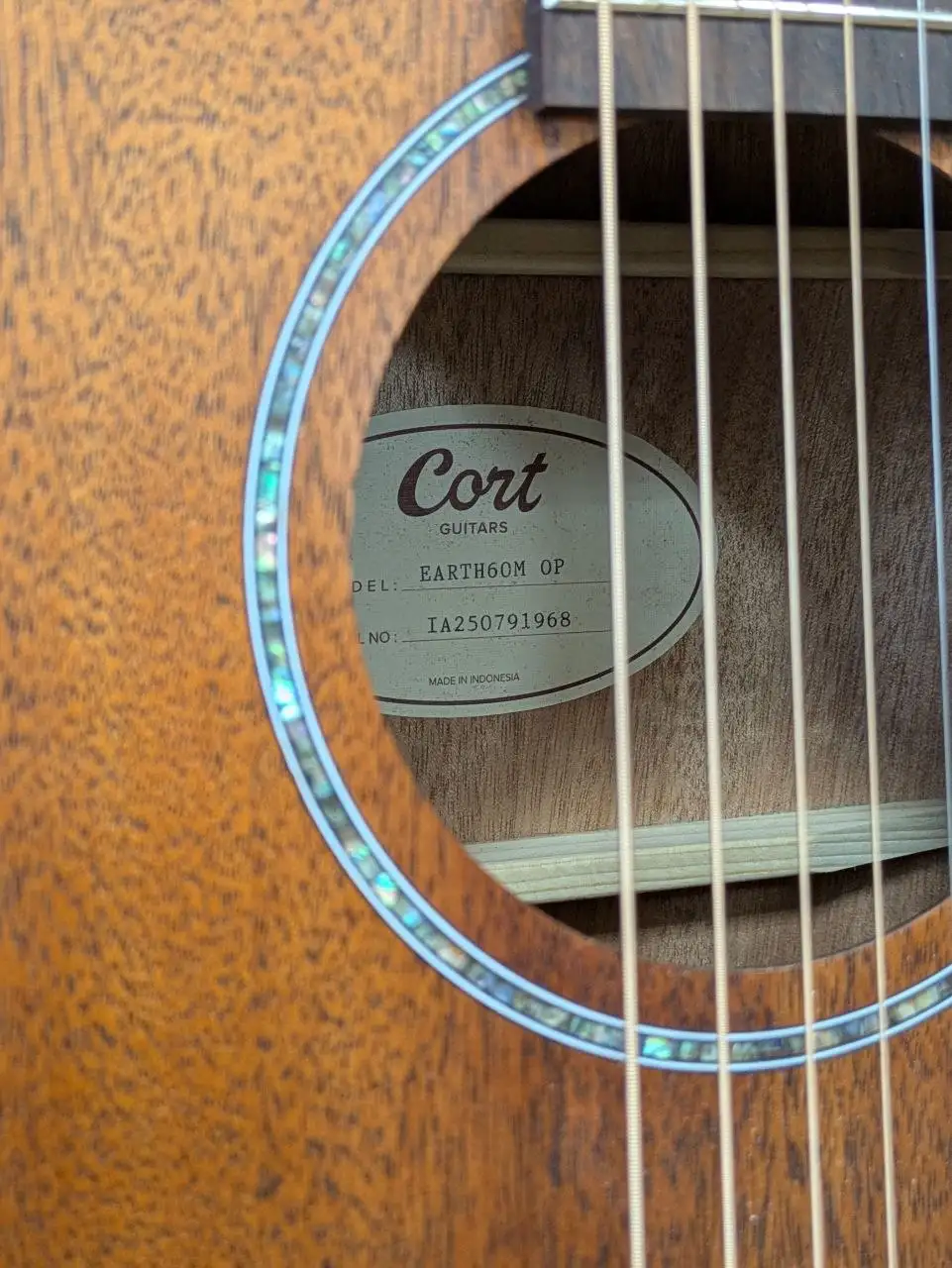 Продажа гитары Cort с чехлом - Музыкальные инструменты (Хобби и отдых) в Чебоксары