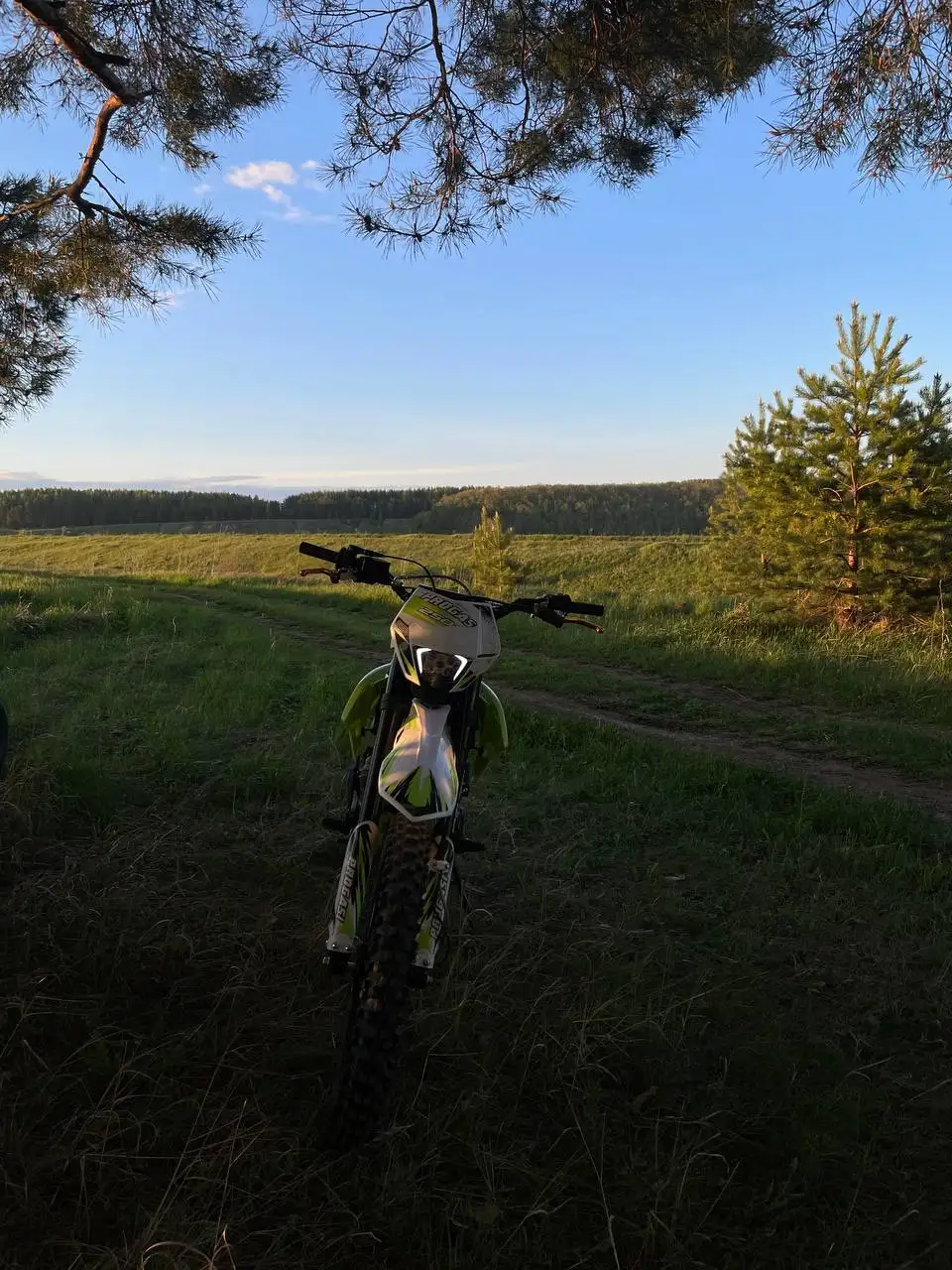 Продам Progasi Super Max 250 зеленого цвета - Барахолка в Чебоксары