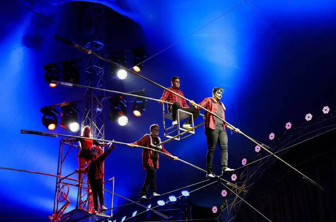 Билеты на цирк Демидовых 25 апреля - Билеты (Хобби и отдых) в Чебоксары