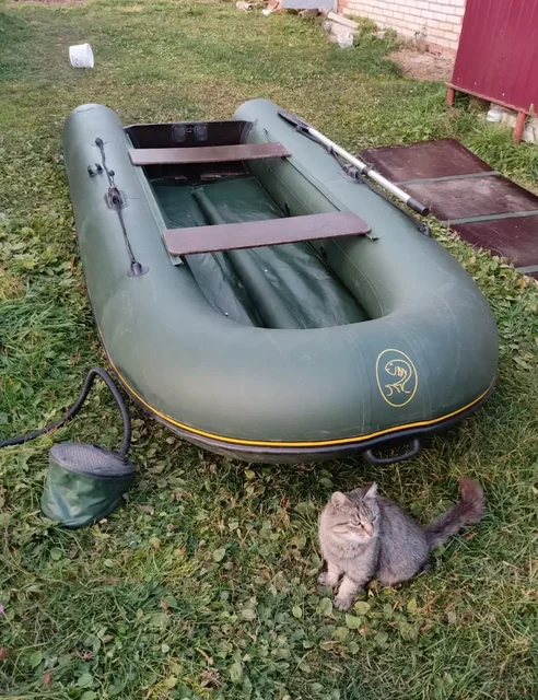 Лодка Boat Master 310 с мотором HDX 40L и аккумулятором - Ягоды в Чебоксары